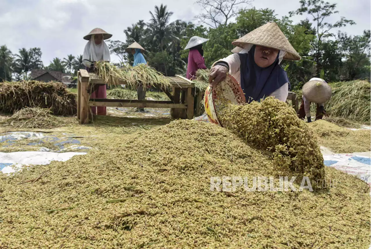 Badan Pangan Naikkan Sementara Harga Pembelian Bulog untuk Serap Beras Petani |Republika Online