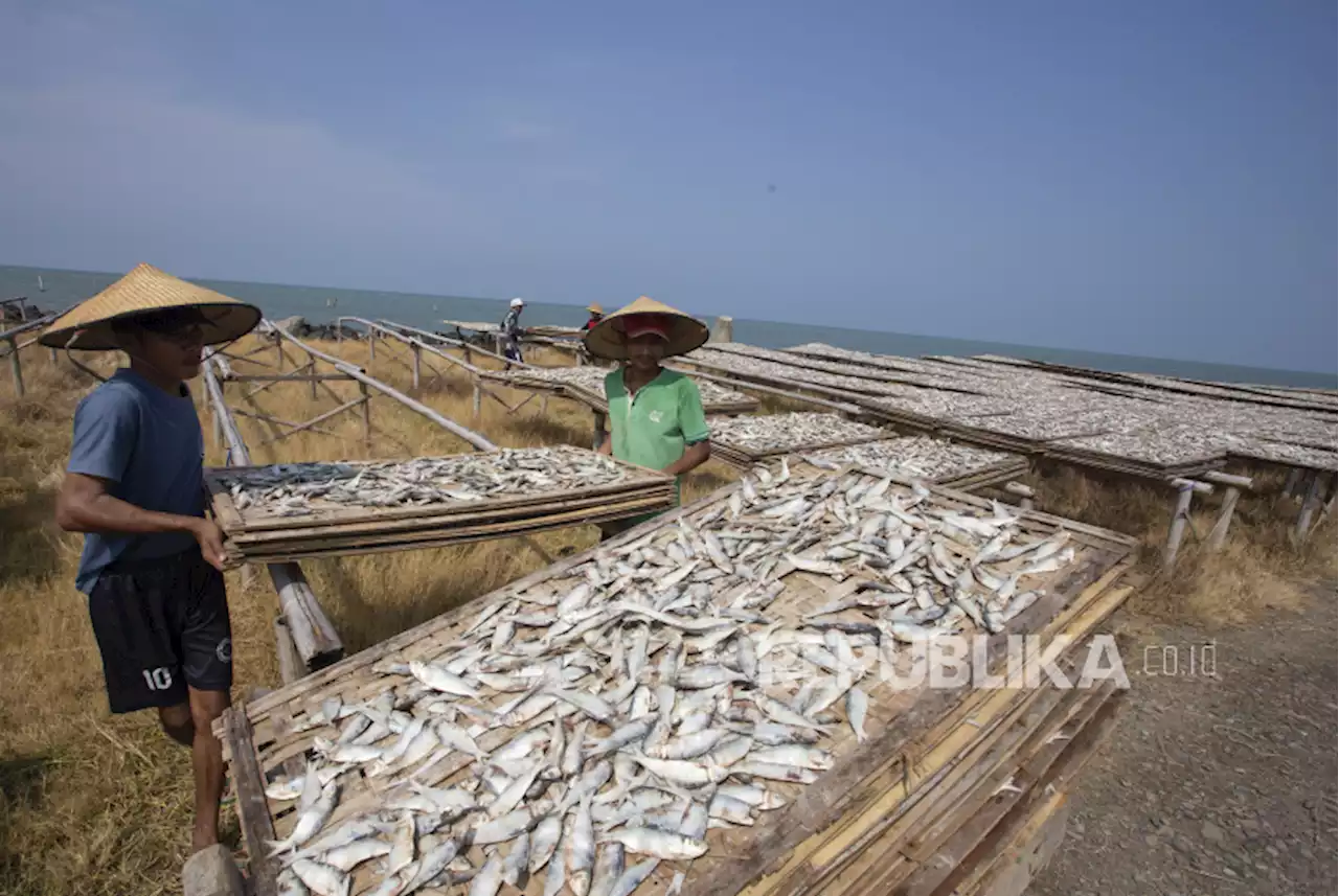 Pasokan dari Nelayan Melimpah, Produksi Ikan Asin Meningkat |Republika Online