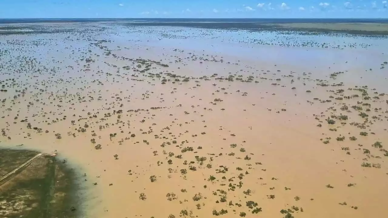 'You never know what is lurking beneath': Crocodile warning amid record floods in Queensland's Burketown