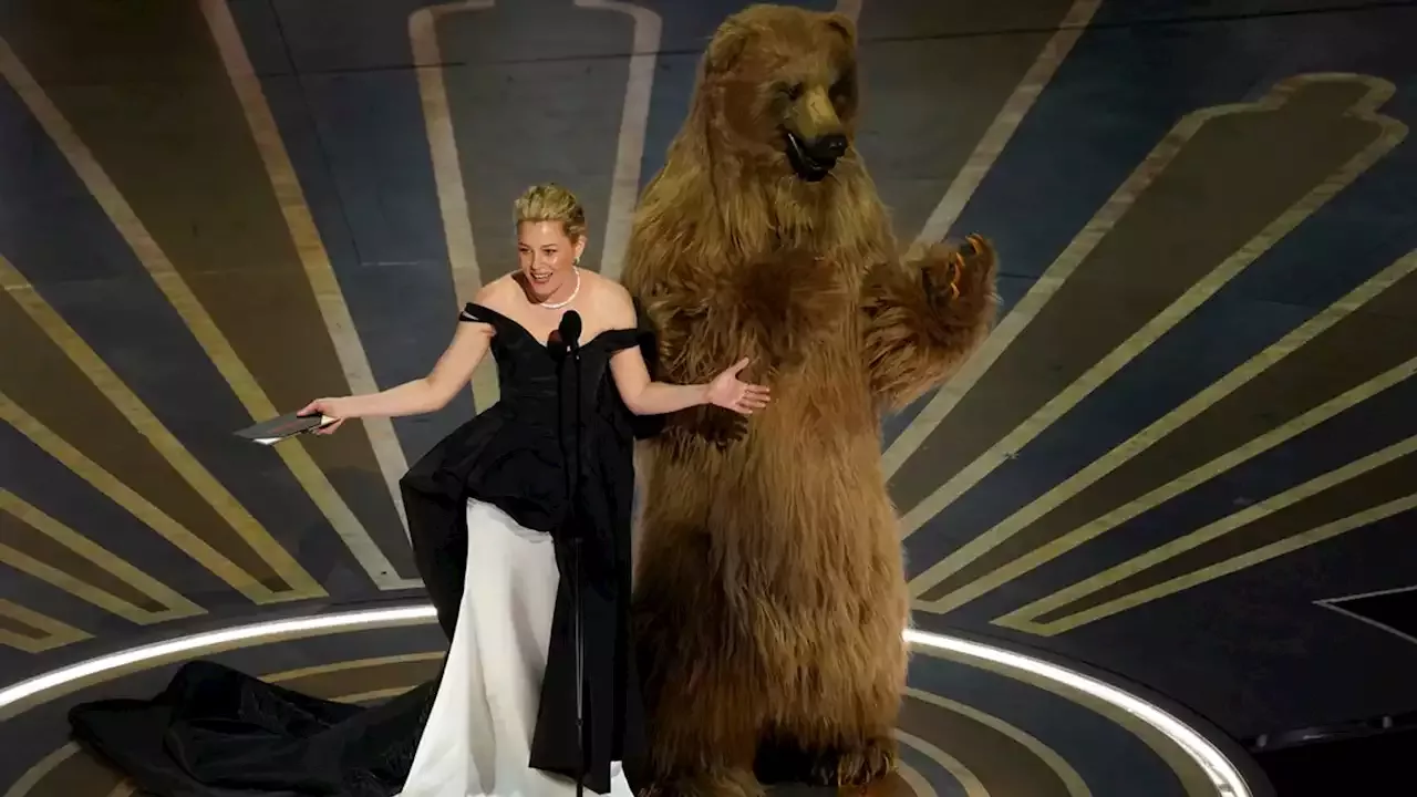 Oscars 2023 Best Bits: Will Smith Slap Jokes, 'bear' Bothers Malala ...