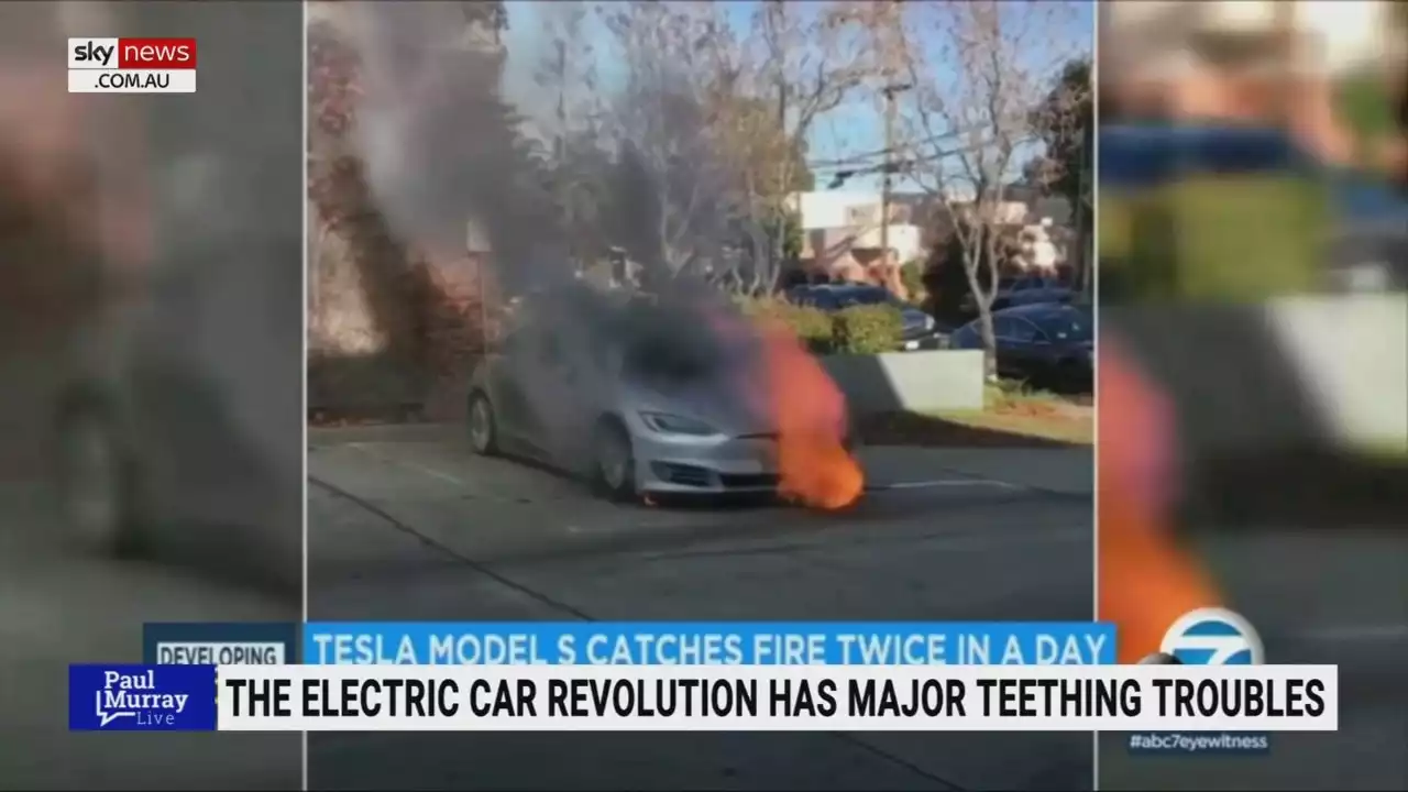 &#8216;Whole bunch of vision&#8217; from around the world shows electric vehicles &#8216;exploding&#8217;