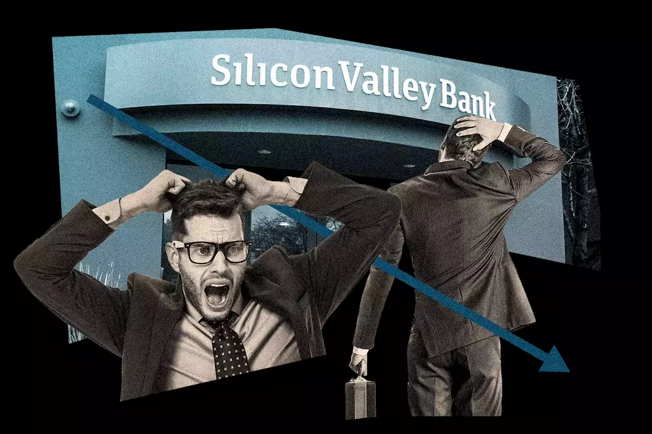 The Incredible Tantrum Venture Capitalists Threw Over Silicon Valley Bank