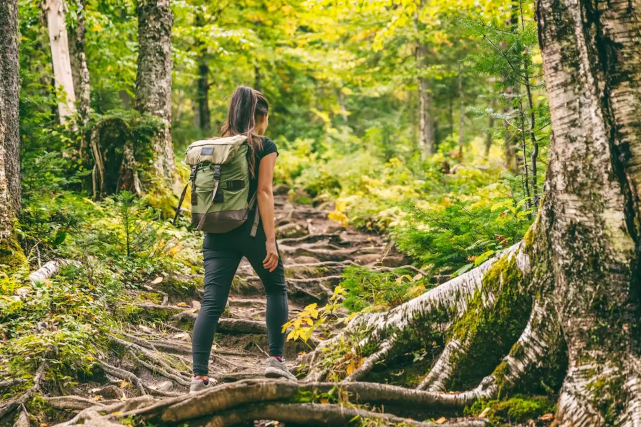 14 must-try hiking trails in Ontario for an unforgettable spring adventure