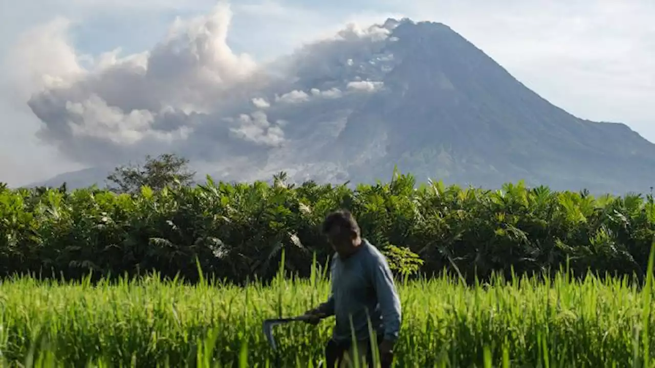 Ini Penyebab Utama Erupsi Gunung Merapi Diprediksi Masih Terus Beranjut