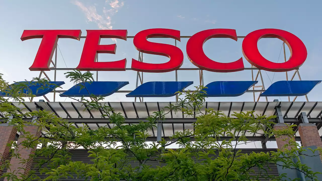 Tesco shoppers rush to buy household staple that scans at £3 instead of £12.50