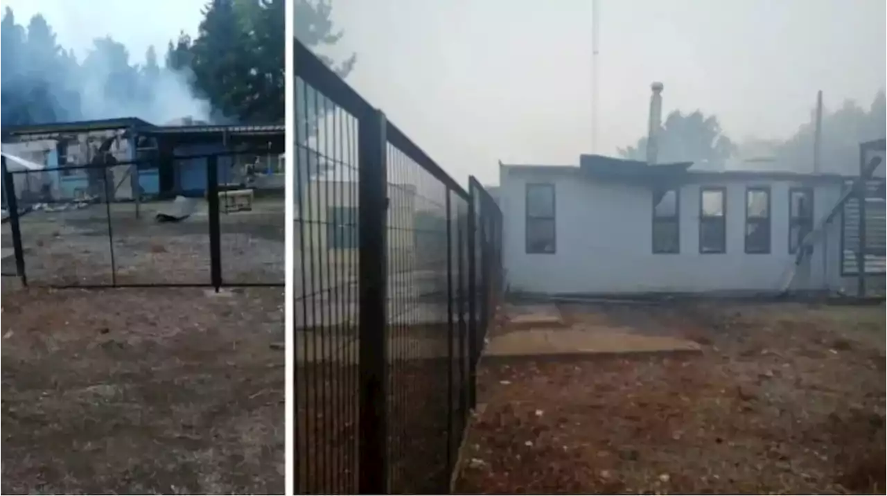 Conflicto mapuche: incendiaron una escuela en el sur de Chile y tuvieron que suspender las clases