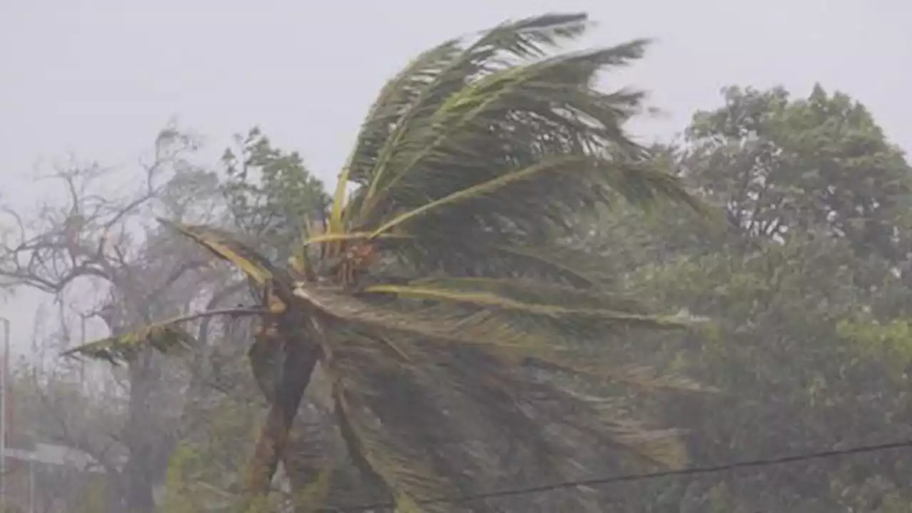 Cyclone Freddy hits Mozambique and Malawi, killing dozens