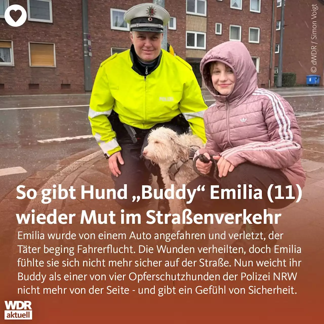 Nach Autounfall: Hund Buddy gibt Emilia neuen Mut