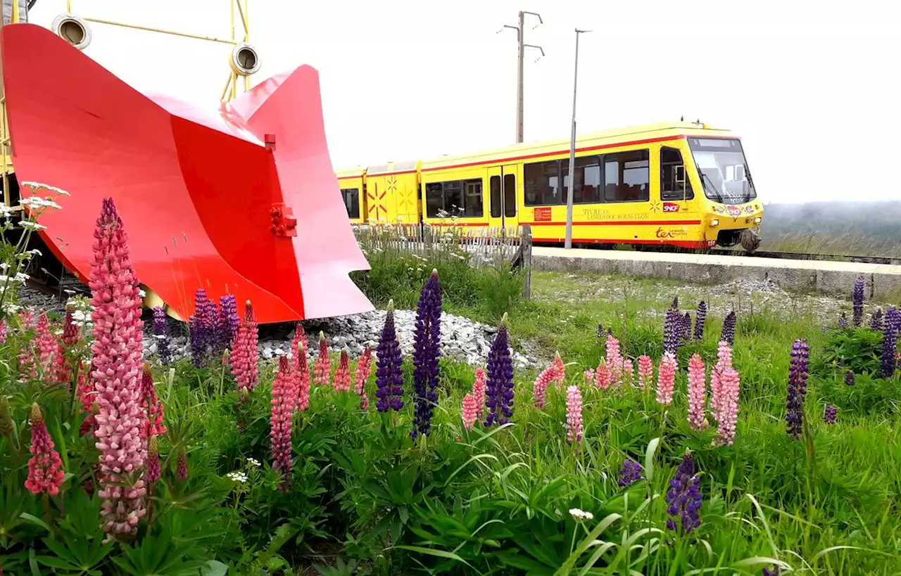 On vous raconte l’incroyable histoire du petit Train jaune des Pyrénées