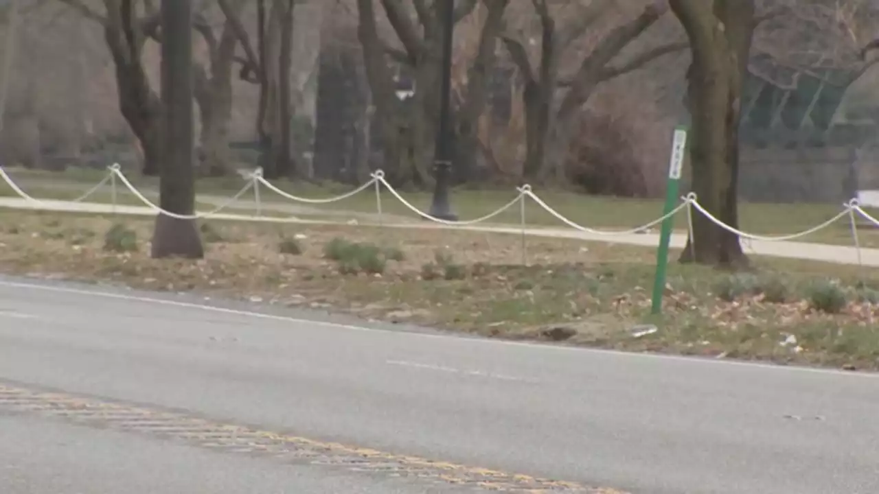 Barriers installed to prevent parking in grass along Kelly Drive in East Fairmount Park