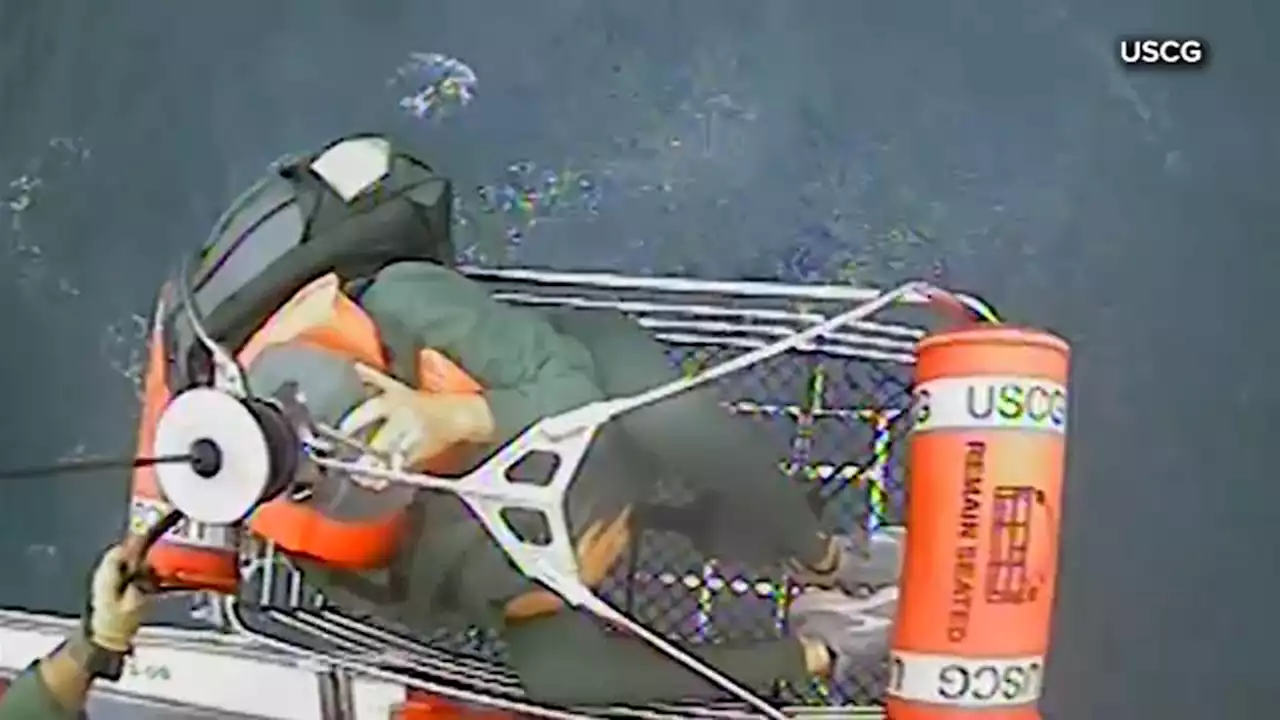 Video shows 2 people and cat being hoisted onto response boat in water rescue in Freeport