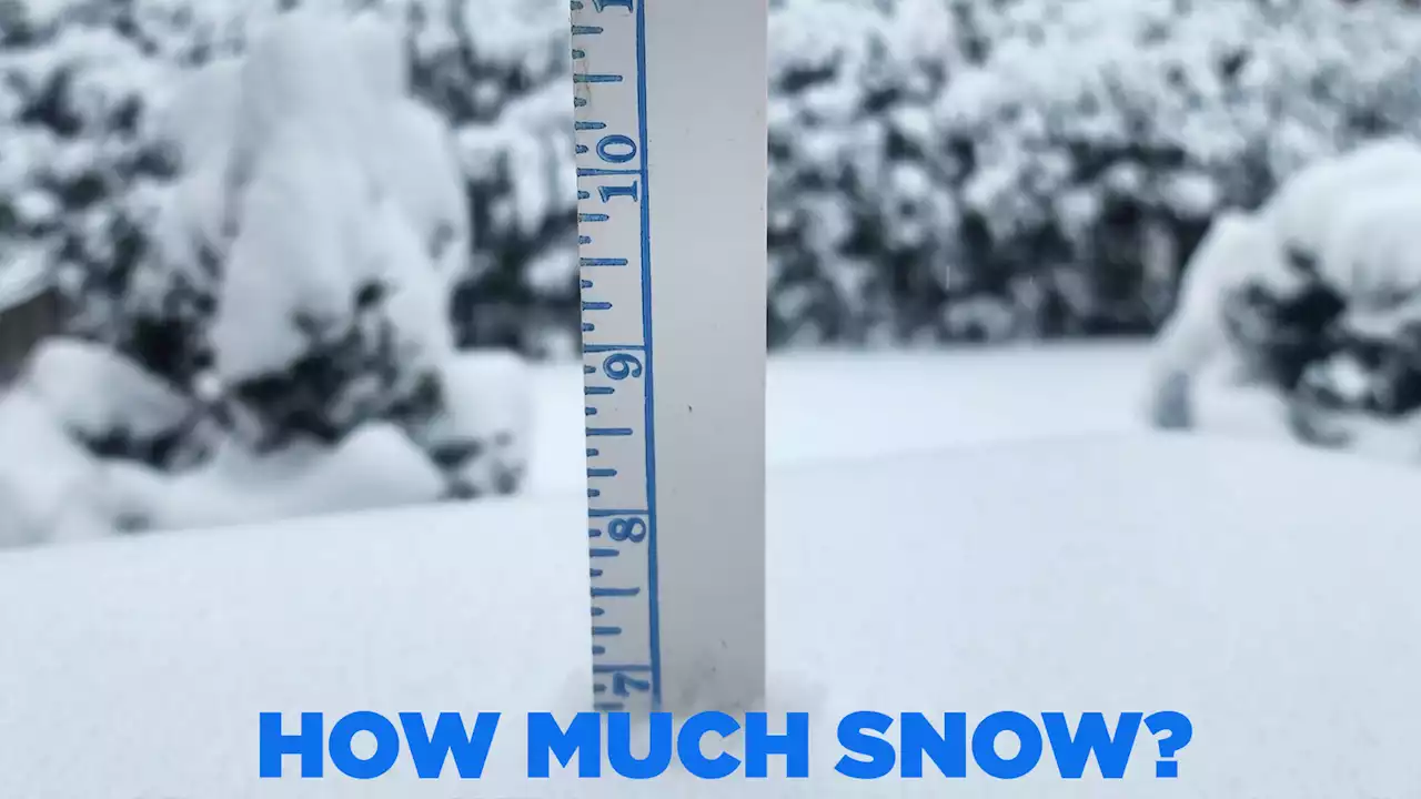 How much snow fell in New York City, New York, New Jersey, and Connecticut