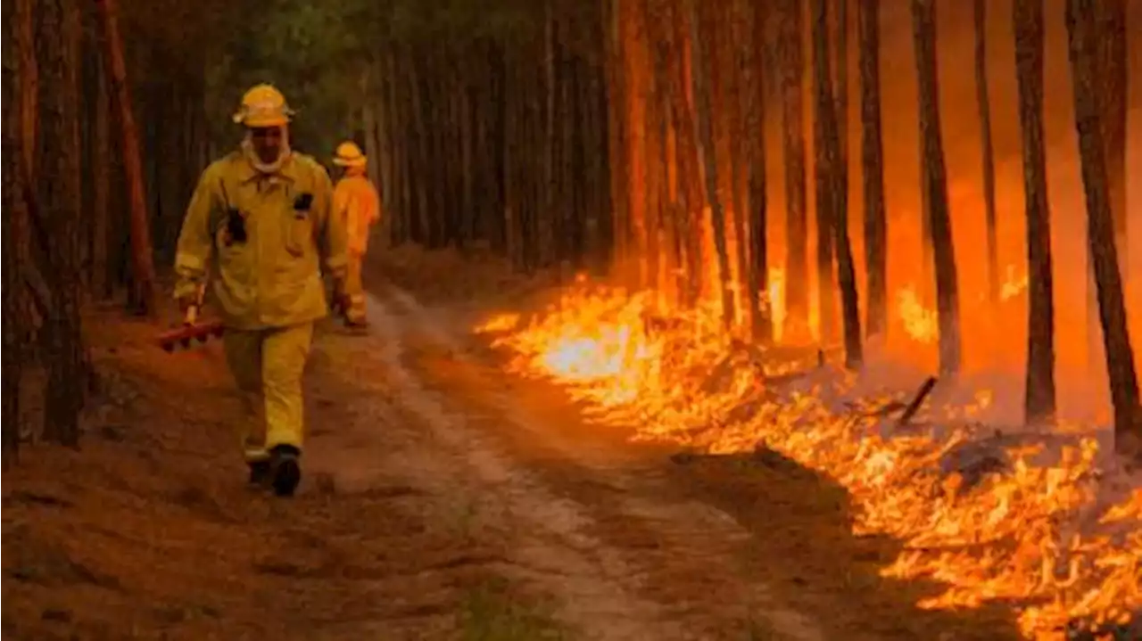 Corrientes y Entre Ríos registran focos activos de incendios forestales