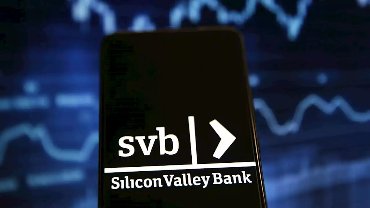 Focus on Africa - African startups on the SVB collapse - BBC Sounds