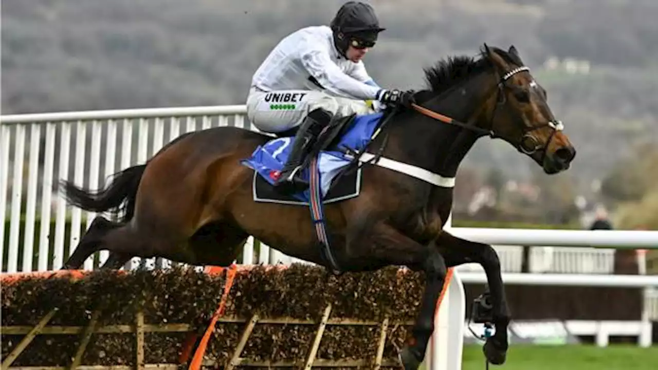 Constitution Hill tops bill as Cheltenham arrives