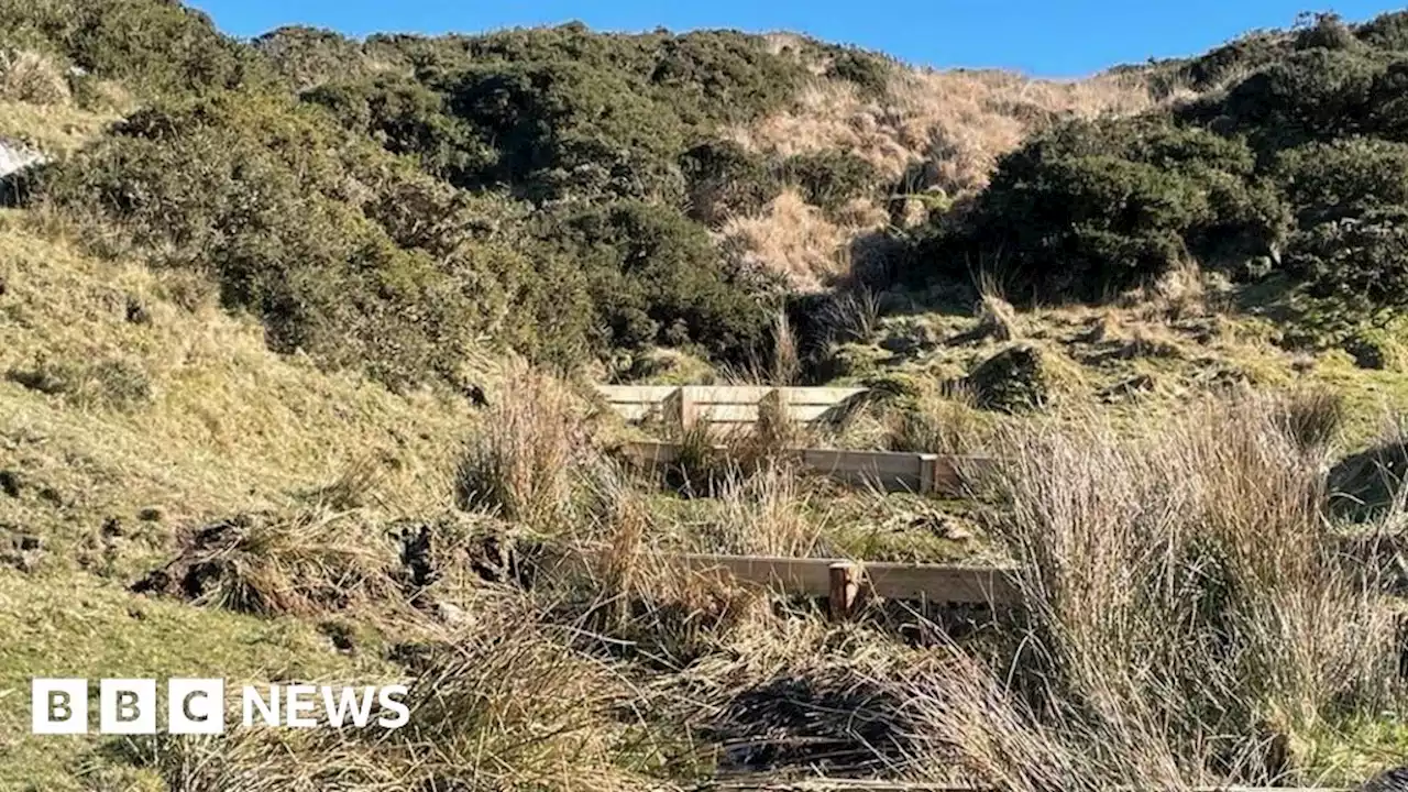 Environmental artists begin Dartmoor moss-growing project