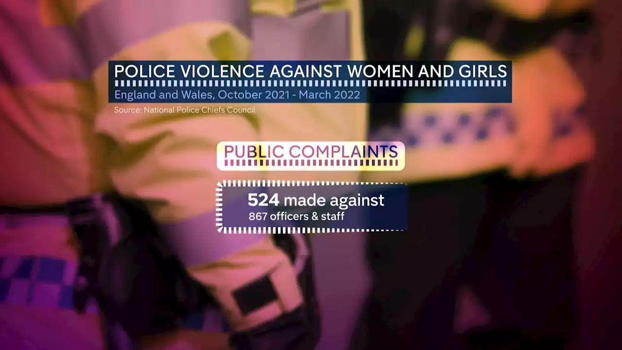 Over 1,500 police officers accused of violence against women