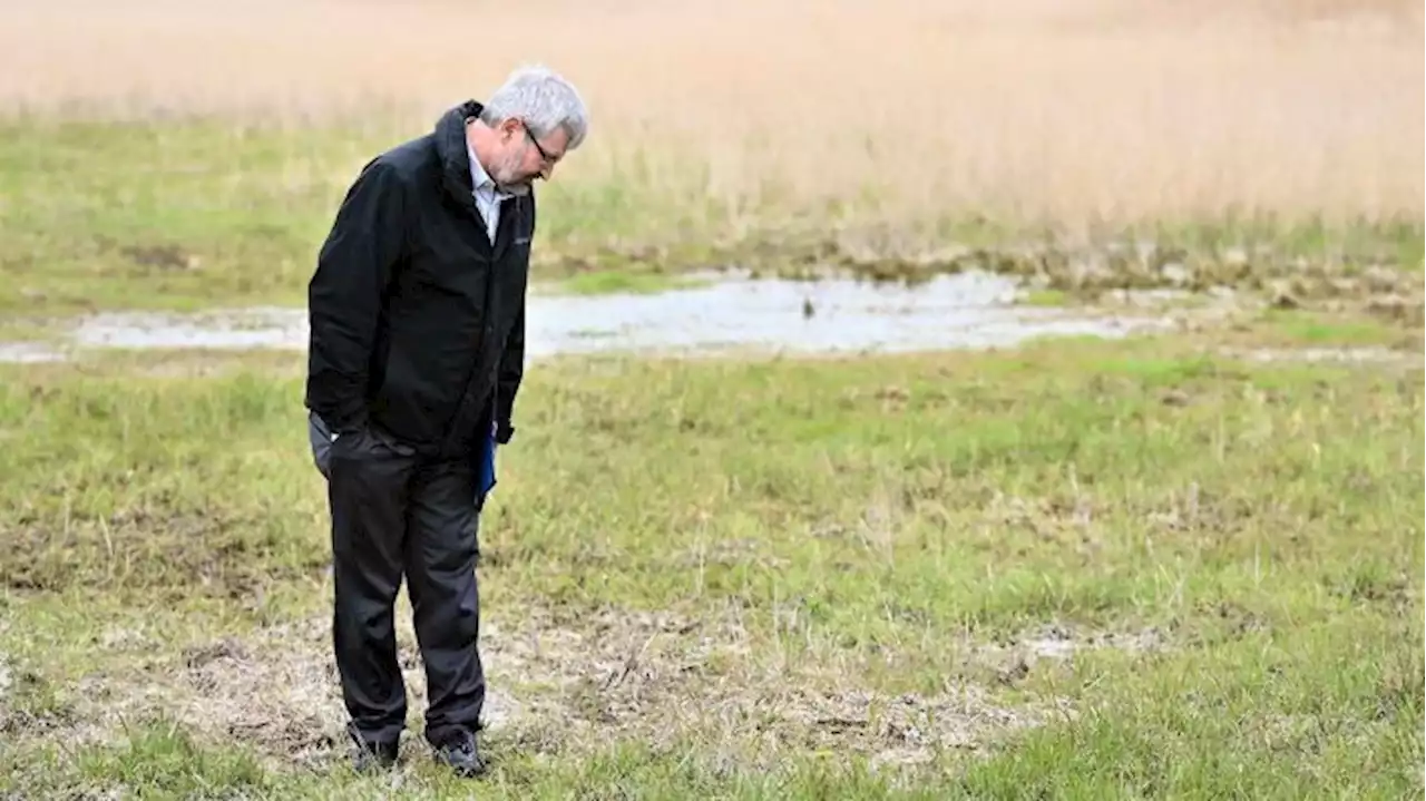 Moorschutzprogramm für mehr Klimaschutz in Brandenburg