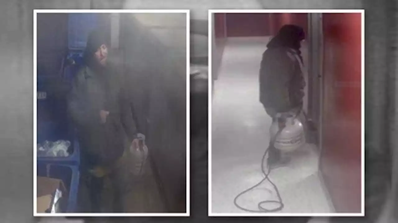 Police release photos of man who allegedly tried to set fire to Hamilton apartment building