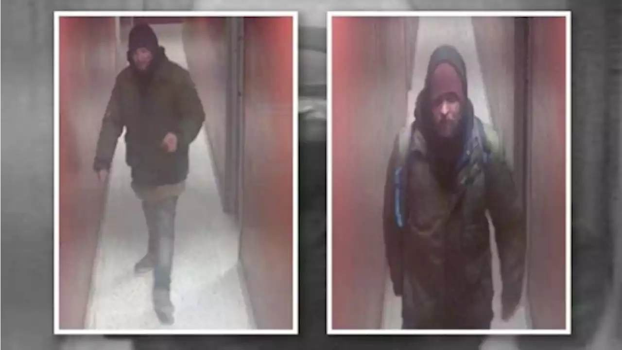 Police release photos of man as he allegedly tries to set fire to Hamilton apartment building