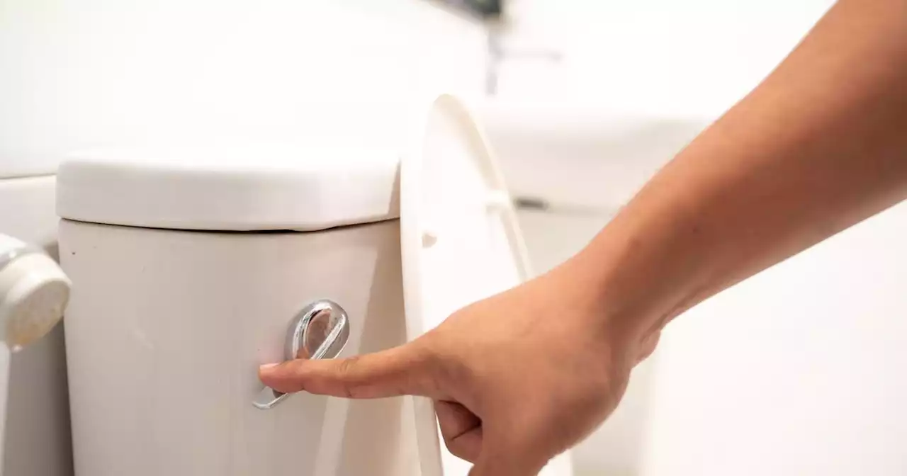 Disgusting reason you're probably flushing the toilet wrong explained