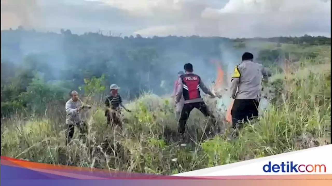 3 Hektare Lahan di Bukit Teletubbies Nusa Penida Terbakar