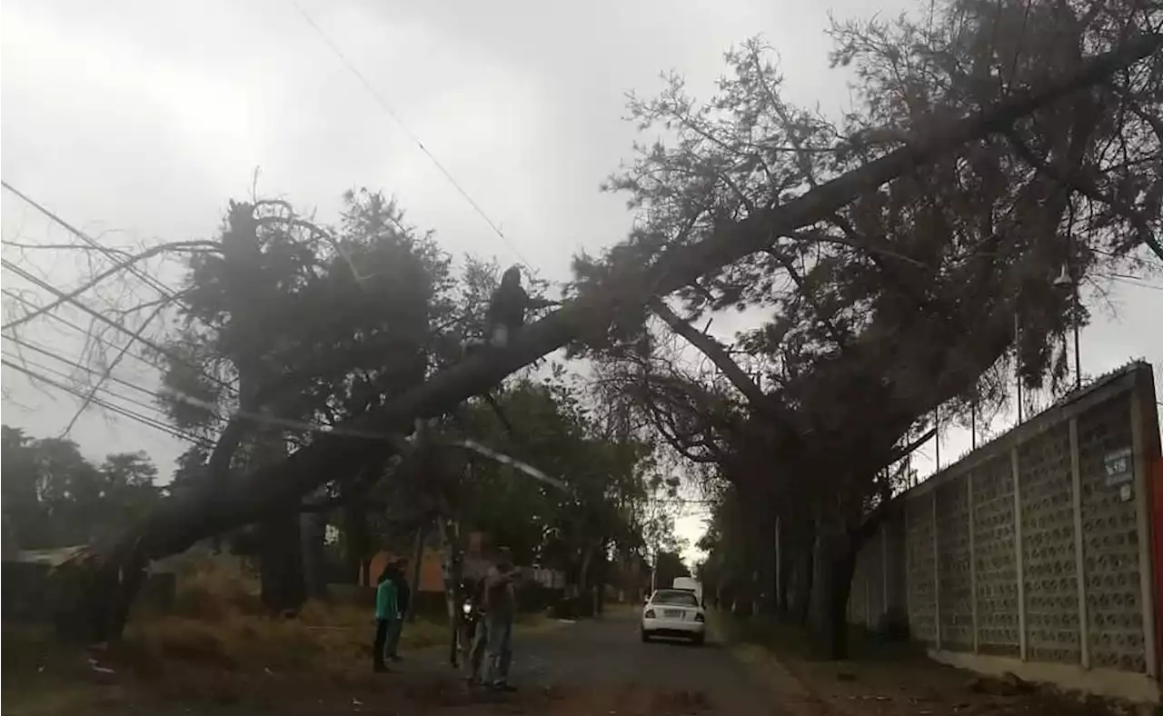 Activan alerta amarilla por fuertes vientos en 14 alcaldías de la CDMX