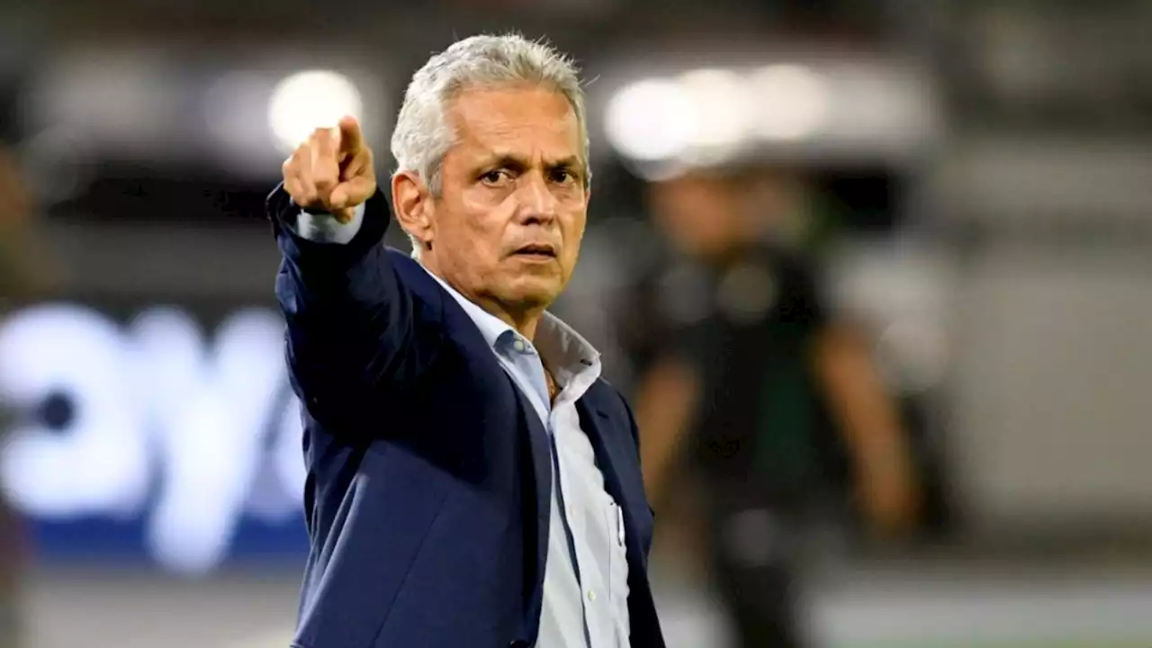 ¿El elegido es Reinaldo Rueda?