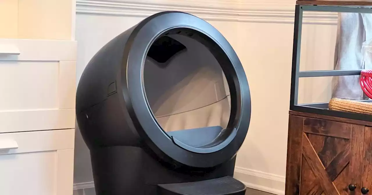 Litter Robot 4 review: A great, but imperfect, self-cleaning litter box | Engadget