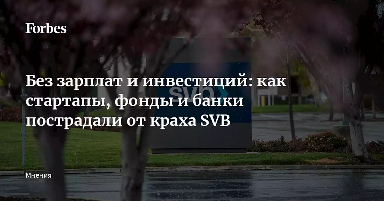 Без зарплат и инвестиций: как стартапы, фонды и банки пострадали от краха SVB