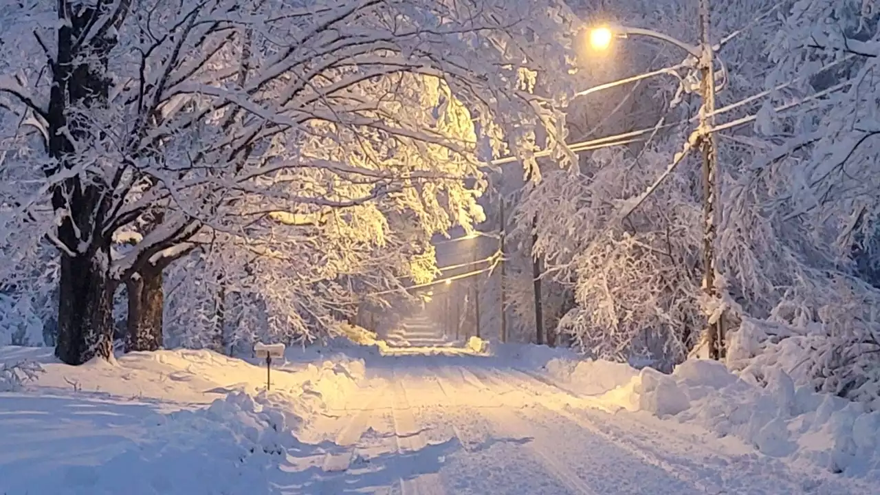 Nor'easter storm knocks out power for over 135K, cancels flights