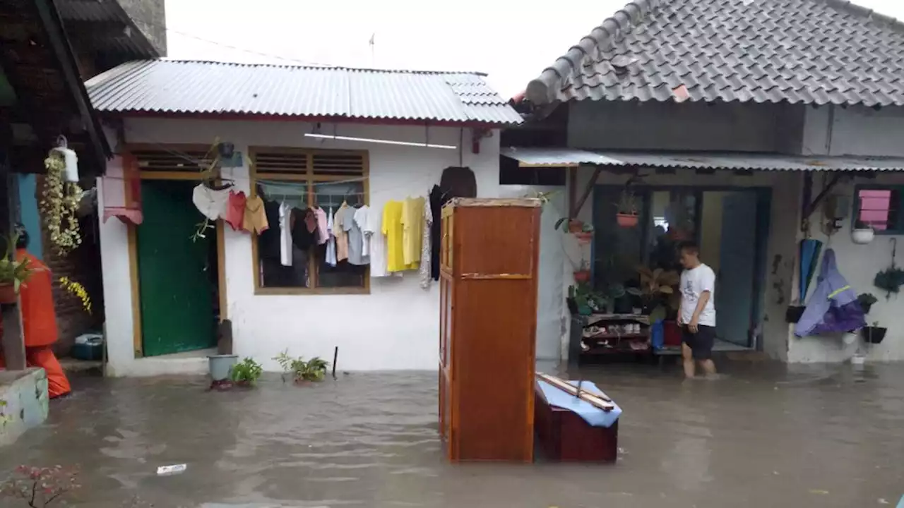 Hujan Lebih dari Dua Jam, Pohon Tumbang dan Rumah Warga di Malang Tergenang