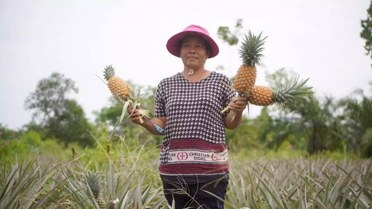 Inisiatif Masyarakat Dayun dan Penyengat Cegah Kebakaran Lahan Terulang