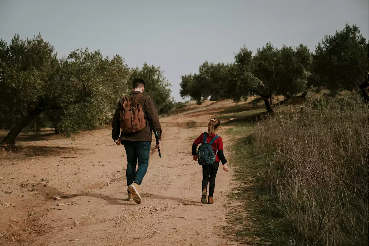 'The Last Olive': esta miniserie parodia de 'The Last of Us' utiliza a Jaén como escenario