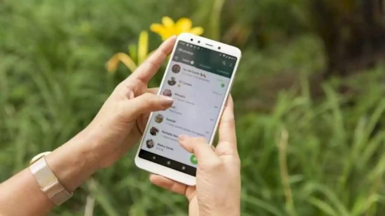 WhatsApp limita el acceso a los grupos
