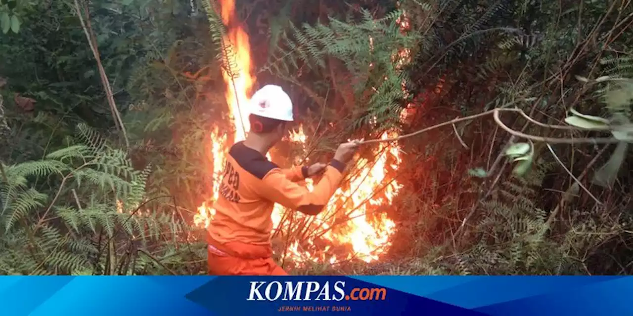 Lahan Seluas 1,4 Hektar di Nunukan Terbakar, Diduga Sengaja untuk Pembukaan Lahan