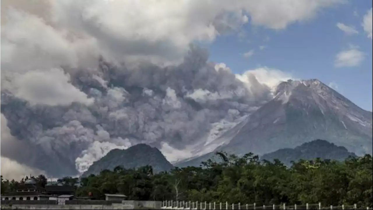 1600 Hektare Lahan Pertanian & Perkebunan di Magelang Rusak akibat Abu Vulkanik Erupsi Gunung Merapi