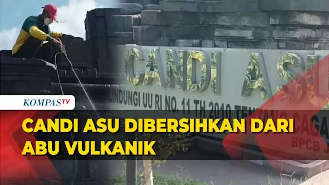 Abu Vulkanik Selimuti Candi Asu, Petugas: Abu yang Menempel Bisa Merusak Struktur Bebatuan