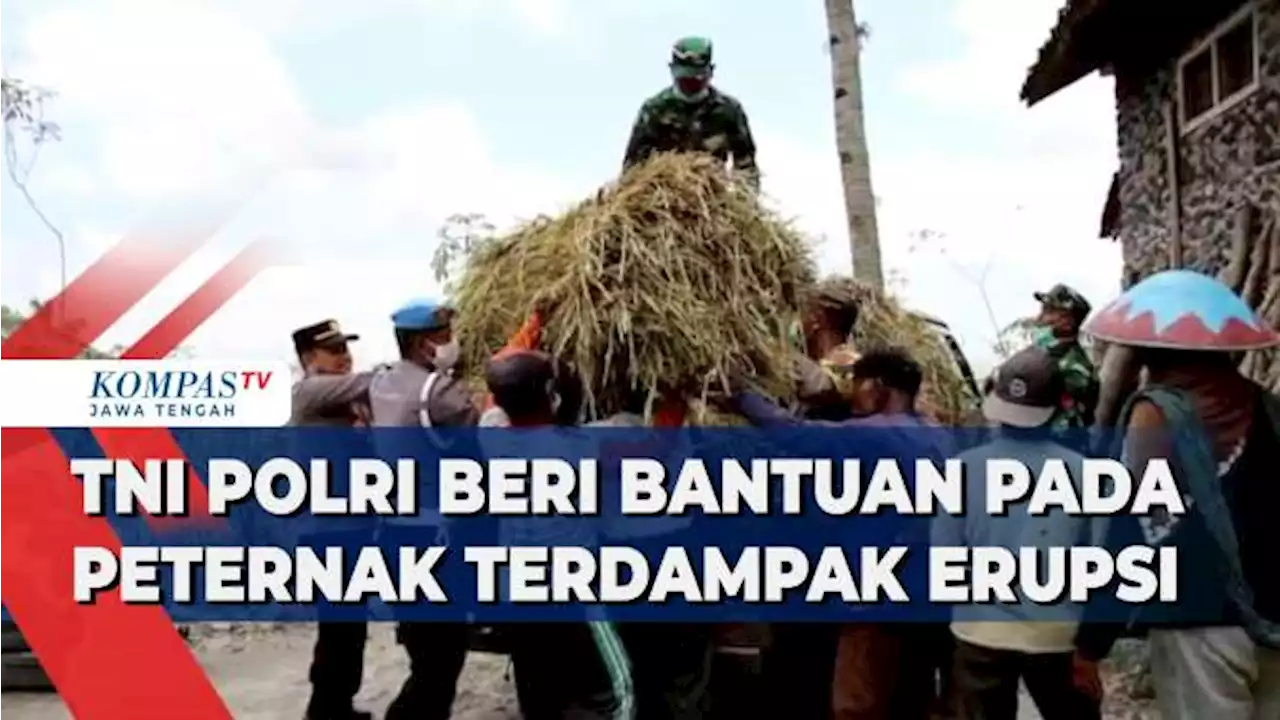 TNI Polri Beri Bantuan Pada Peternak Terdampak Erupsi