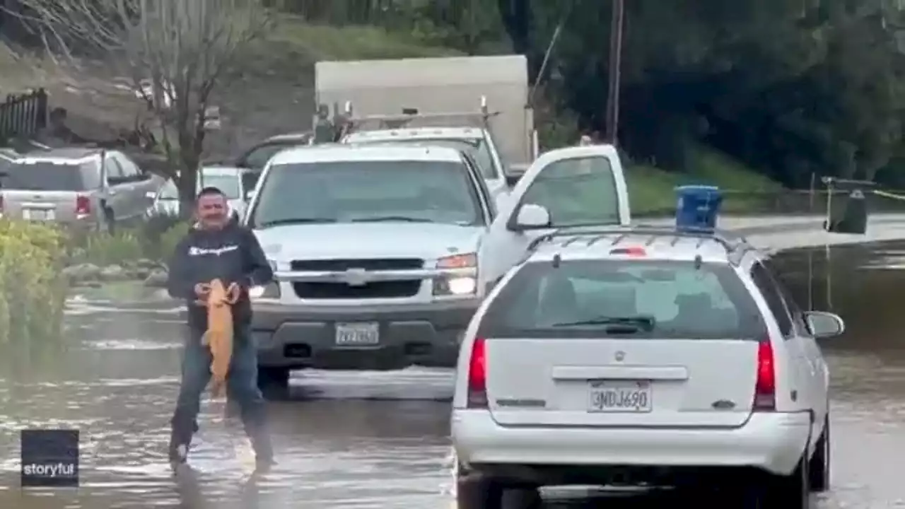 Man catches carp in flooded Watsonville road