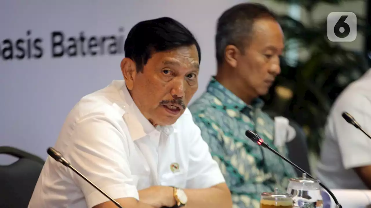 Luhut: 2 Tahun Lagi Indonesia Juara Baterai Mobil Listrik