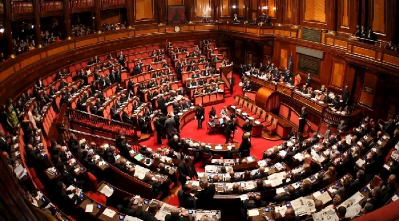 Figli di coppie gay, il Senato boccia il regolamento Ue sul riconoscimento