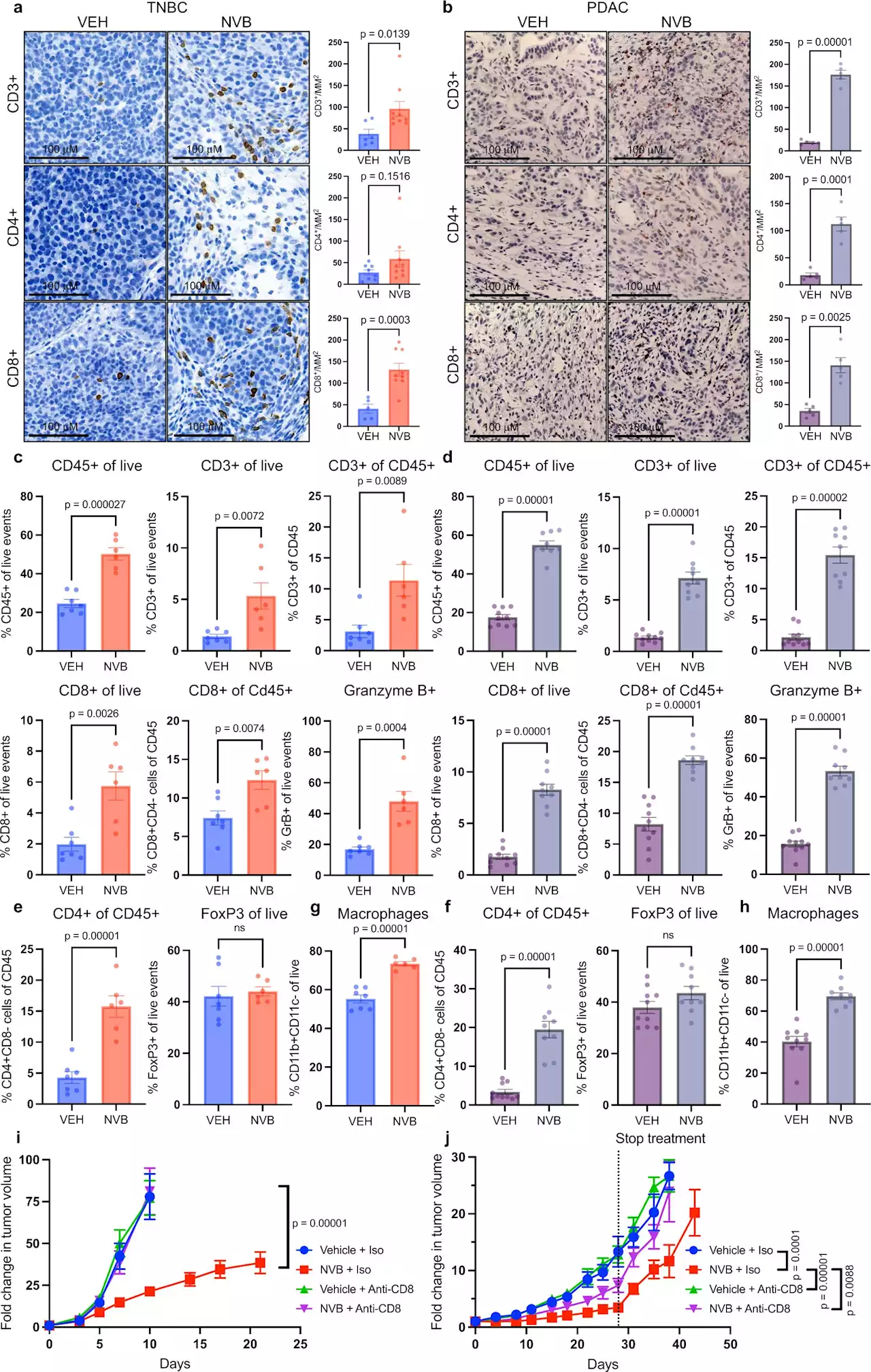 Novobiocin attacks BRCA-mutated cancer cells from within and without, study shows