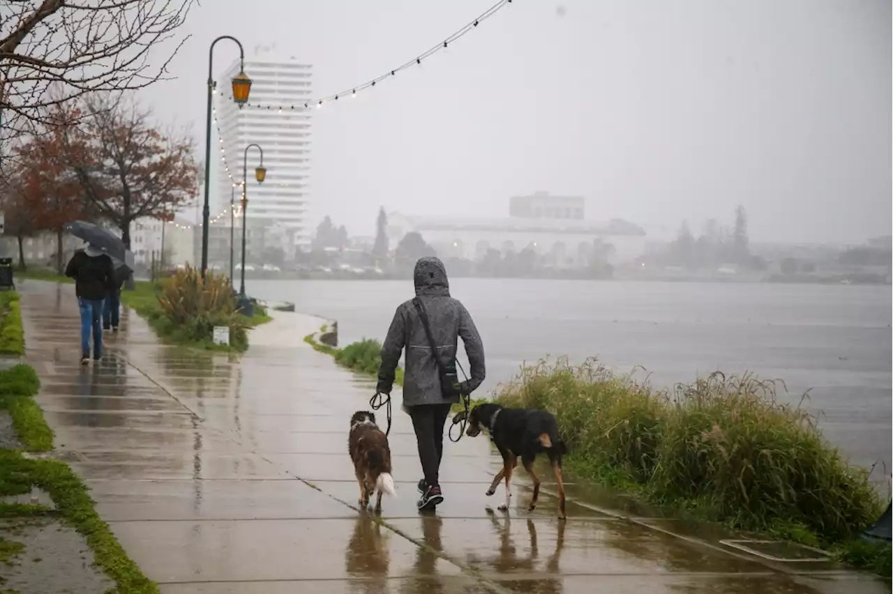 Bay Area Storm: New atmospheric river touches down, flood advisories issued for North Bay and Peninsula