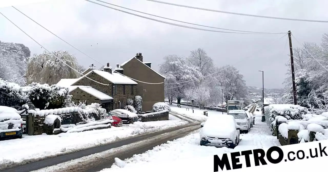 UK told to brace for more snow and ice today as temperatures plummet