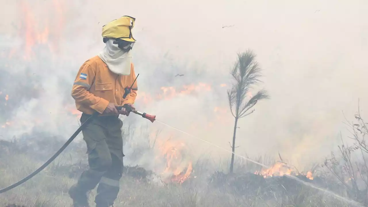 Impresionante incendio forestal en Corrientes: más de 3 mil hectáreas quemadas