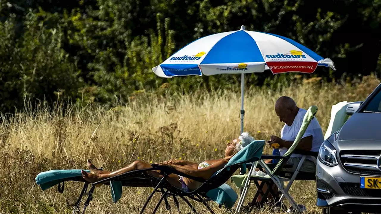 Nederlandse zomer was extreem zonnig, maar ook heel droog