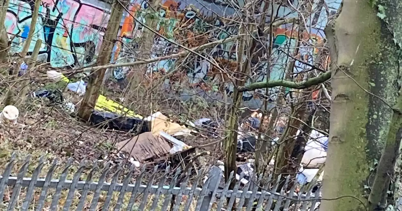 'Disgusting' fly-tipping which 'spoils the area' for residents