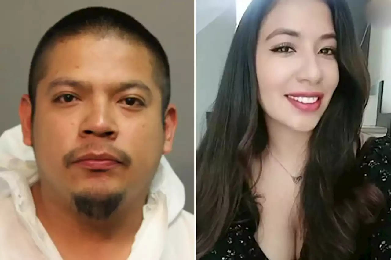 Woman stabbed on Chicago train platform names ex-boyfriend as killer before death: cops