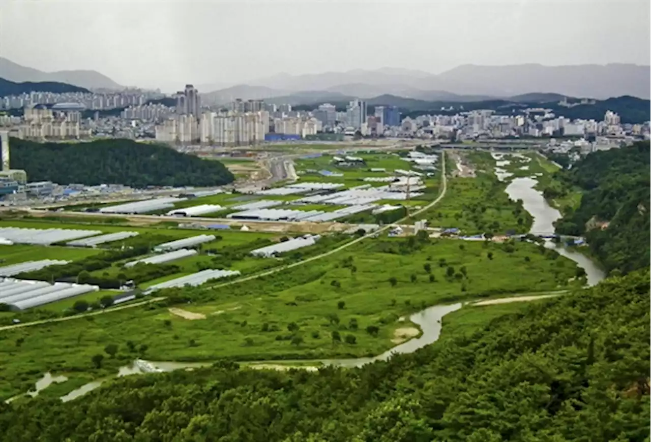 대전 갑천습지보호지역 지정 위한 공청회 열린다